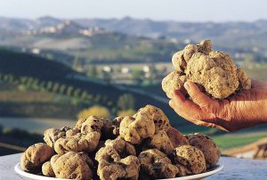 385_canelli-tartufo-bianco