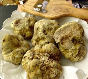 386_tartufo-bianco-640x576