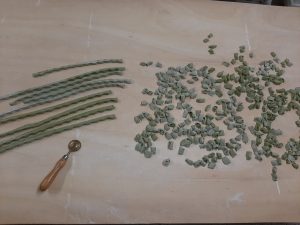 820_preparazione-agnolotti-di-verdura